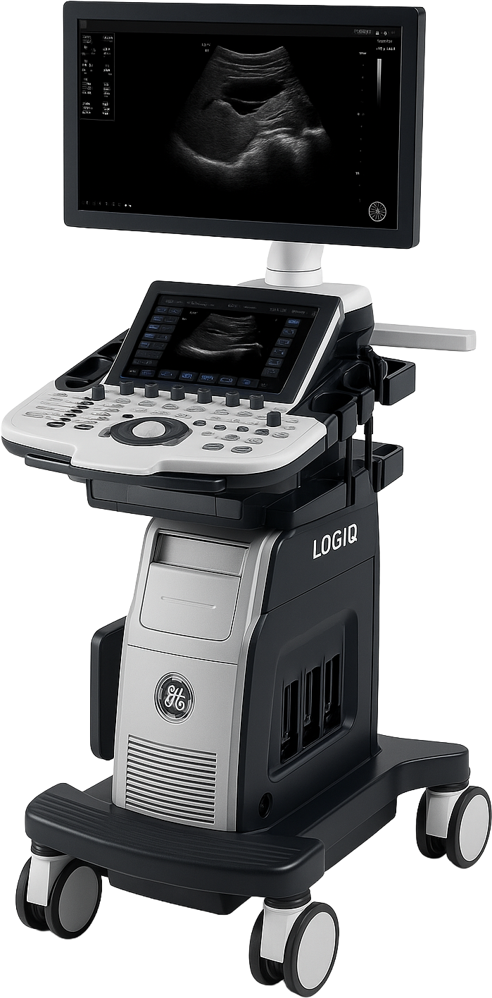GE Logiq P8